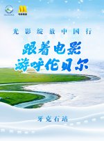 埃贝尔问卷